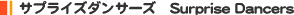 �T�v���C�Y�_���T�[�Y